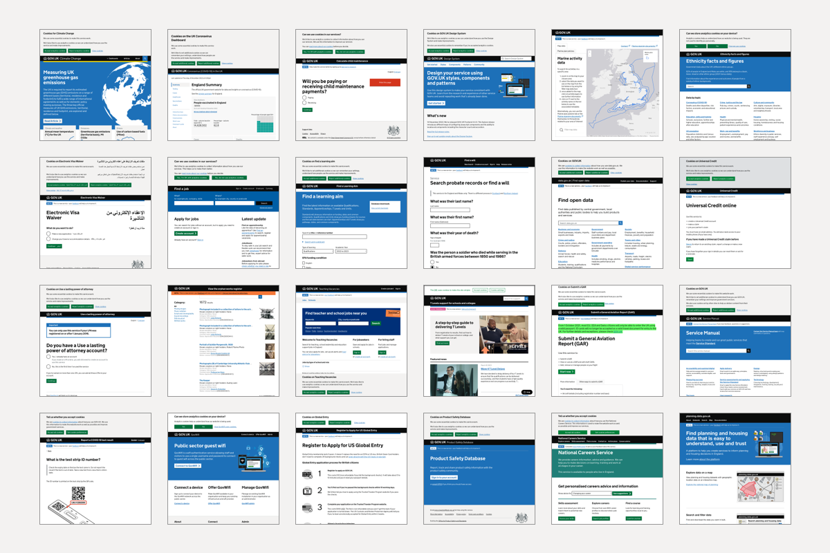 Illustration containing screenshots of the first page of 24 different government service, arranged in a grid.